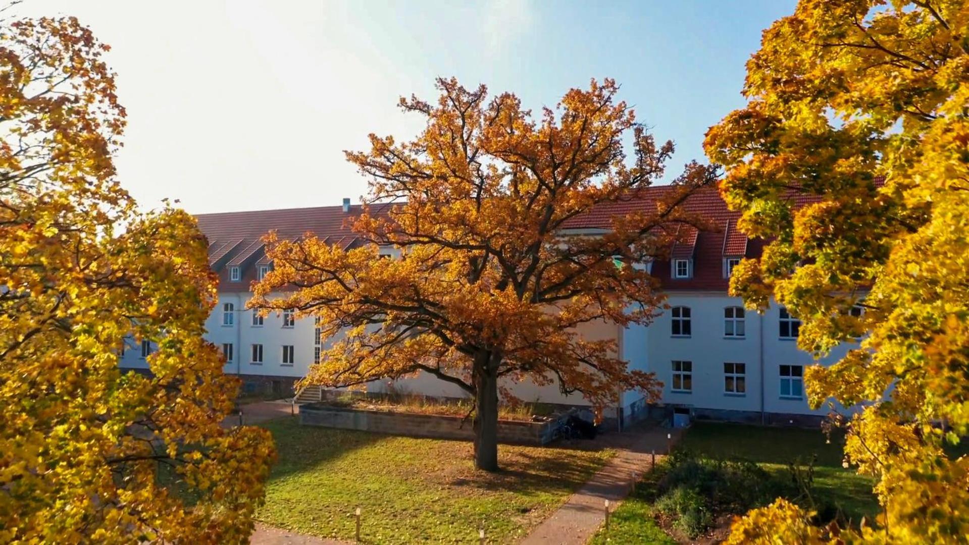 Parkresidenz Lychen, Ferienwohnung 9 Exterior foto